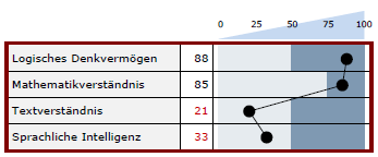 Intelligenztests: Testverfahren & Potenzialanalyse Online - DIAMIC®