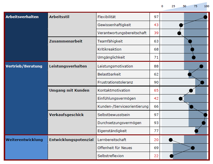 Musterauswertung Potenzialanalyse Testergebnis Beispiel - DIAMIC®